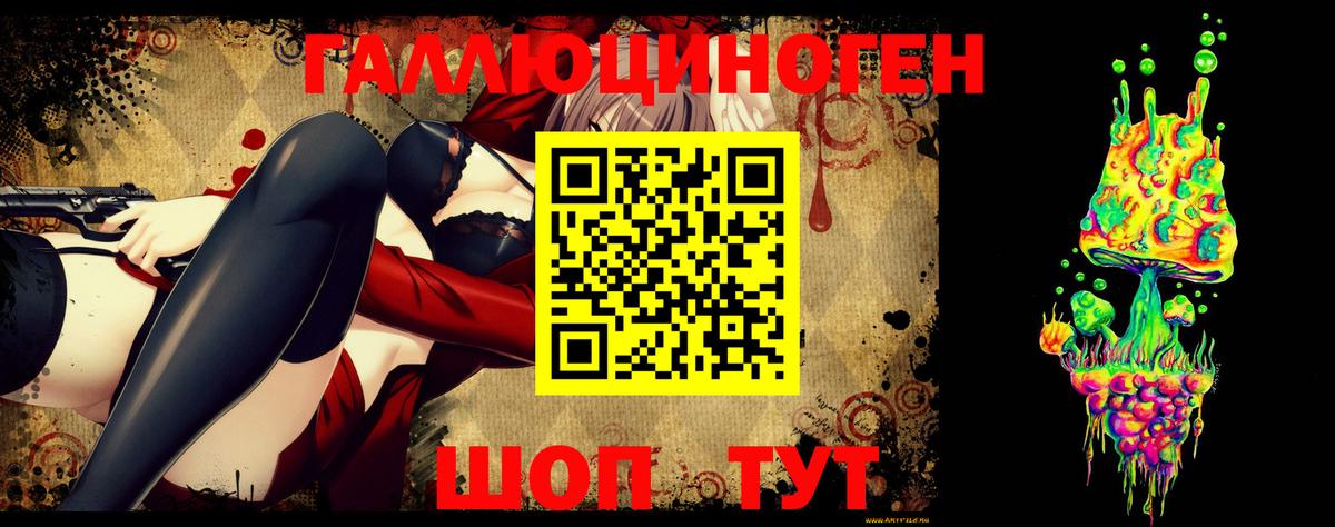 Галлюциногенные грибы GOLDEN TEACHER  Вход с VPN  Горно-Алтайск 