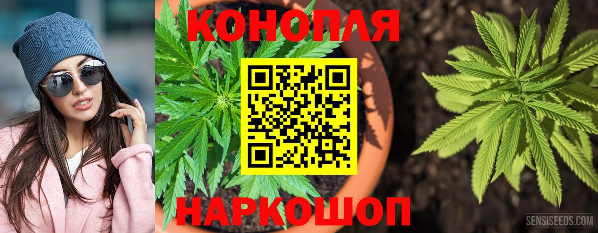 Бошки Шишки Bruce Banner  Бошки Шишки марихуана  Бошки Шишки сатива  Вход с VPN  Горно-Алтайск  Бошки Шишки LSD WEED 